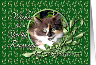 Recovery from Cholecystectomy - Calico Kitten card