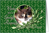 Recovery from Plastic Surgery - Calico Kitten card