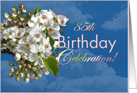 85th Birthday Party Invitation White Flower Blossoms card