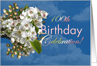 100th Birthday Party Invitation White Flower Blossoms card
