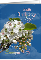 Wife 54th Birthday Joy and Love White Flowers card