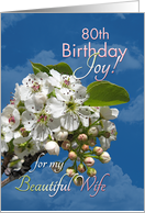 Wife 80th Birthday Joy and Love White Flowers card