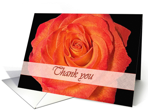 Thank you for Listening, Blaze Orange Rose card (462797)