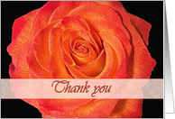 Thank you for Listening, Blaze Orange Rose card