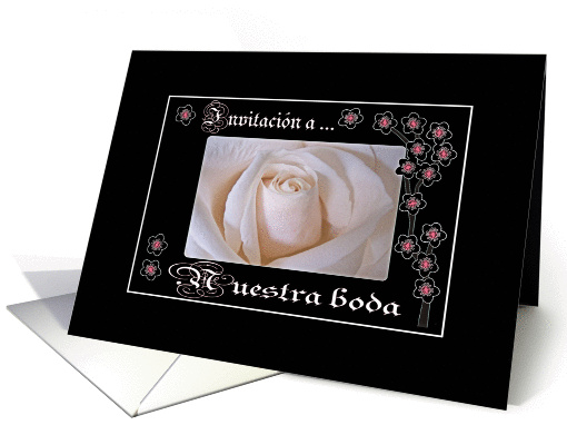 Spanish Wedding Invitation, White Rose and Blossoms card (795701)