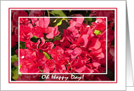 Happy Day, Red Bougainvilleas card