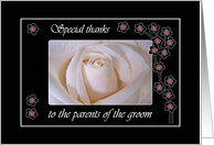 Wedding Thank You for Parents of the Groom, White Rose and Blossoms card