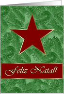 Portuguese Christmas, Red Star on Spruce Sprigs card