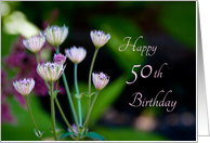 Happy 50th Birthday - Tiny Flowers card