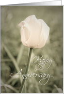 Happy Anniversary - Pink Tulip card