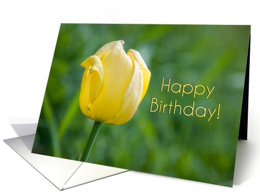 Employee Happy Birthday - Yellow Tulip card (445385)