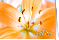 Hospitality Thank You Card - Orange Lily card