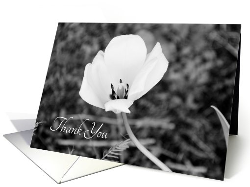 Thank You Bridal Shower Hostess - Black and White Flower card (447212)