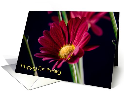 Employee Happy Birthday - Red Flower card (450935)