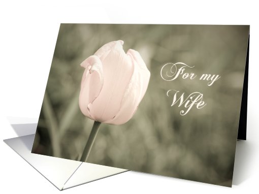 Pink Tulip Vow Renewal for Wife card (487615)