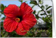 Red Flower Congratulations Card