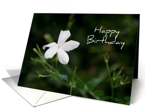 White Flower Employee Birthday card (510332)