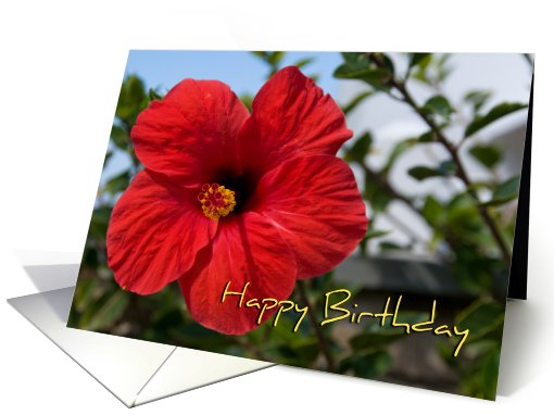 Red Flower Employee Birthday card (510333)