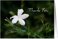 White Flower Business Thank You Card