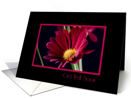 Red Flower Business Get Well Soon card (543550)