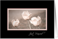 Pink Tulips Just Married Card