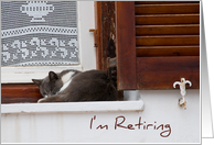 Sleeping Cat Retirement Announcement Card