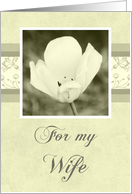 White Flower Vow Renewal for Wife Card