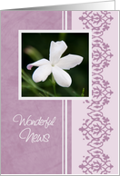 White Flower Good News Health Update Card