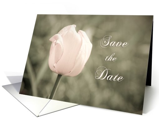 Pink Tulip Engagement Party Save the Date card (609281)