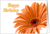 Orange Flowers Employee Happy Birthday Card