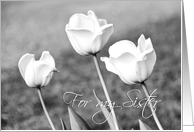 Black and White Tulips Congratulations to Sister Wedding Card