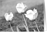 Bridal Luncheon Invitation Card - Black and White Tulips card