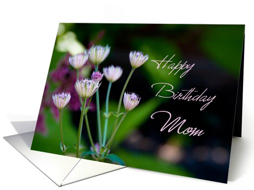 Happy Birthday Mom from Daughter - Garden Flowers card (764467)