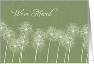 We’ve Moved Announcement - Green Dandelions card