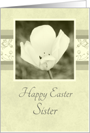 Happy Easter for Sister - White Flower card