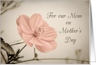 Happy Mother’s Day for our Mom - Pink Flower card