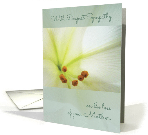Deepest Sympathy, Comforting Memories of Mother, White Flower card