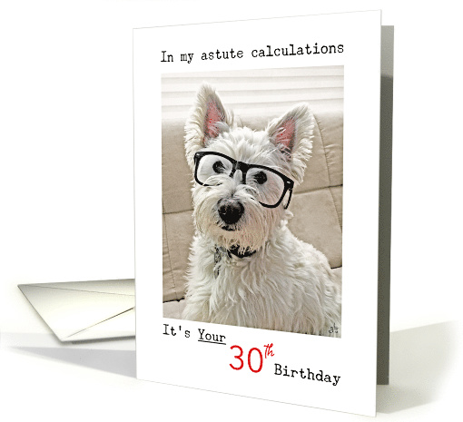 Westie's Calculations, Happy 30th Birthday card (1093184)