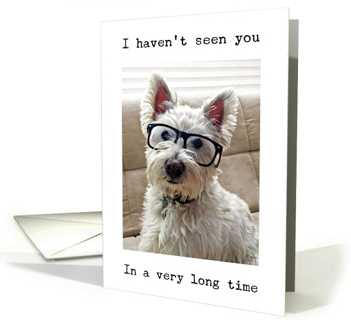 Haven't Seen You In Awhile, Westie Dog Wearing Glasses card (1099844)