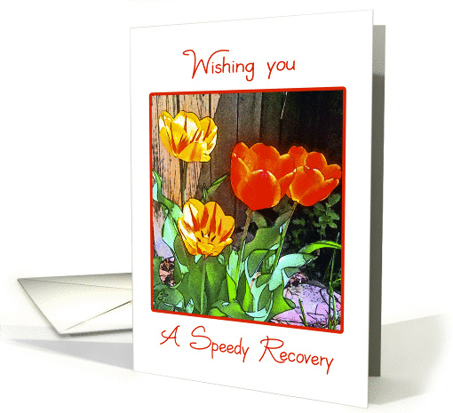 Wishing You A Speedy Recovery, Sunny Garden Tulips, card (804406)