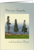Deepest Sympathy, Loss of Partner, Morning Mist Over Mountain Lake card
