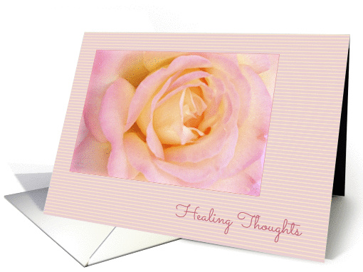 Healing Thoughts, Soft Pink Peace Rose card (909020)