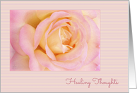 Healing Thoughts, Soft Pink Peace Rose card