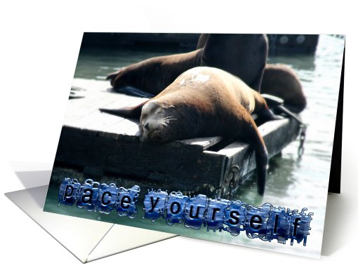 Fibromyalgia Sea Lion card (469826)