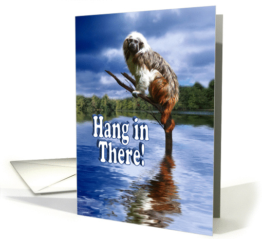 Hang In There! card (457362)