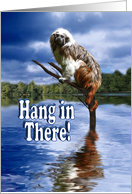 Hang In There! card