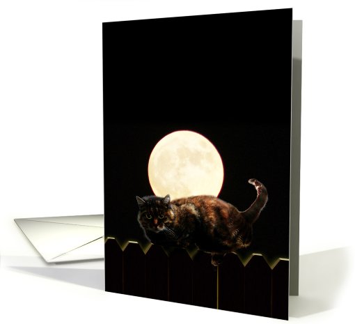 Full Moon Cat card (481482)