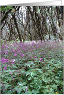 Purple Flowers of La gomara card