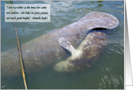Mother and Baby Manatees card
