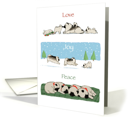 Keeshond Love Joy Peace Christmas card (879511)
